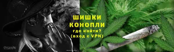 mdpv Богородицк