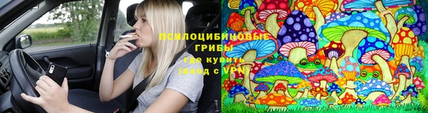 кристаллы Богданович